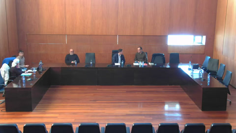Pleno Ordinario